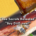 Buy Bee Course DVD now
