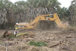 Bush Clearing in Angola