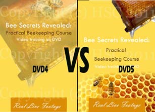 DVD Cover Artwork Poll