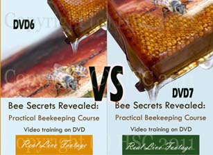 DVD Cover Artwork Poll