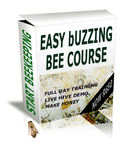 Easy Buzzing Bee Course icon