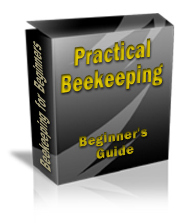 Practical Beekeeping in a Box