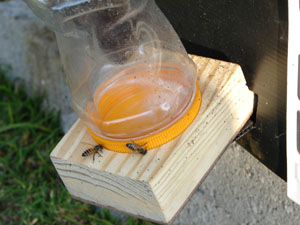 Légfékes itató méheknek