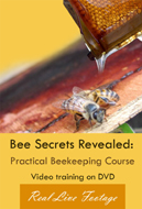 Bee Course DVD video training