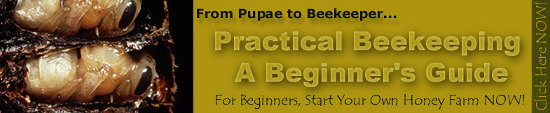 Practical Beekeeping Banner