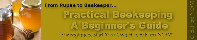 Be Banner honey jars