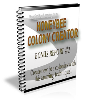 Honeybee Colony Creator