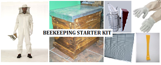 Beekeeping starter kit